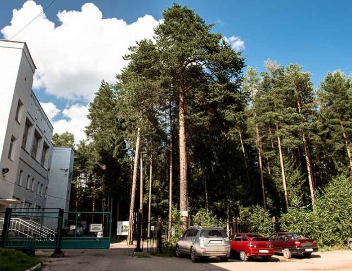 Услуги и развлечения - Санаторий «Сосновый Бор» РЖД-Здоровье