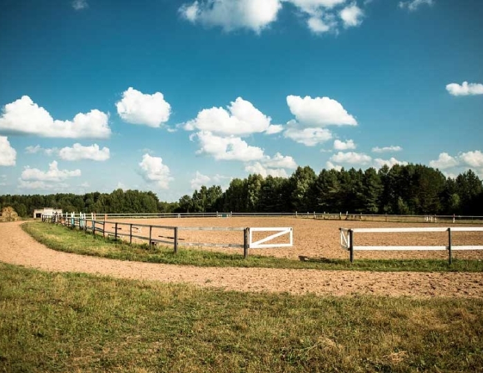 Услуги и развлечения - Санаторий «Сосновый Бор» РЖД-Здоровье