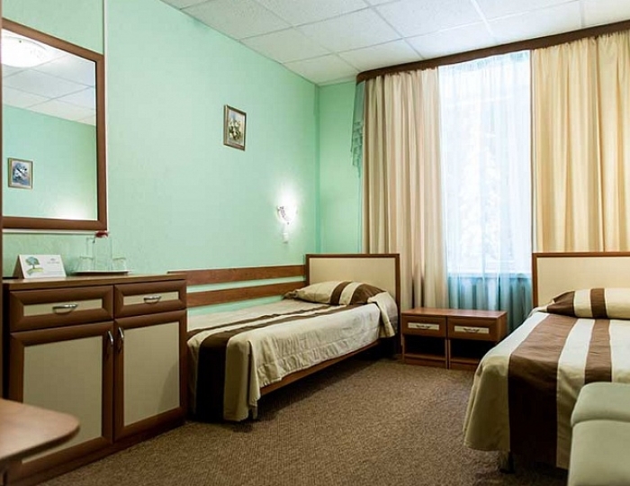 Стандарт 2-местный 1 комнатный Twin 4 корпус - Санаторий «Сосновый Бор» РЖД-Здоровье